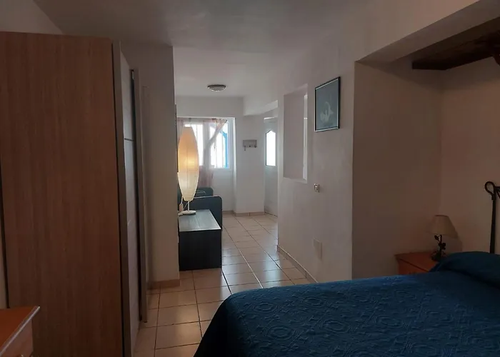 Palmeras *